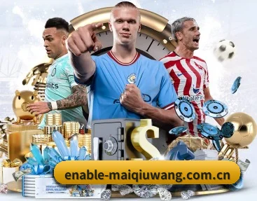 比分查询与赛事提醒 | maiqiuwang